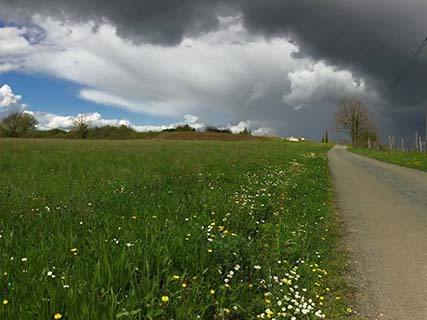 Notre belle campagne.